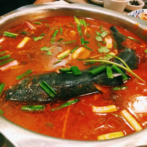 Processed with VSCOcam with c1 preset